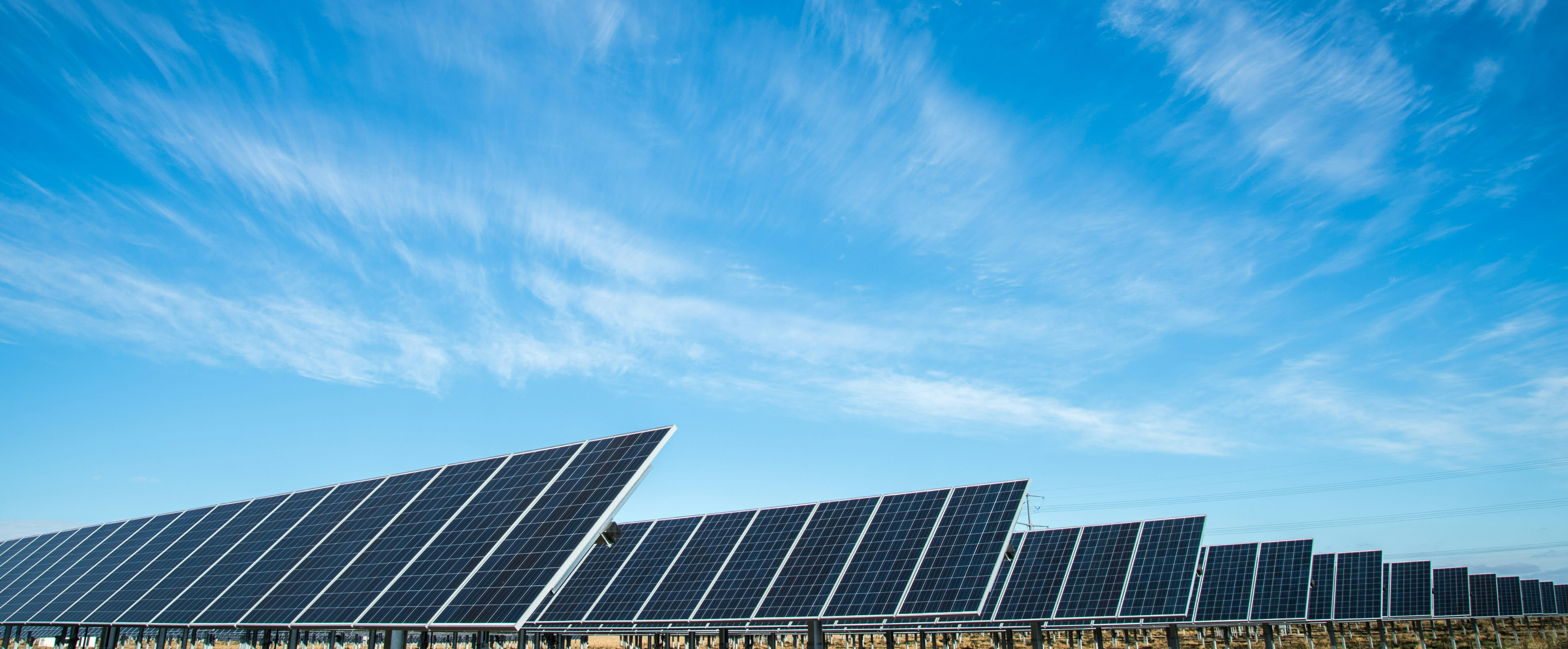 Solar farm with panels mounted to ground